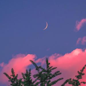 少妇高潮A片特黄高清美女跳舞
